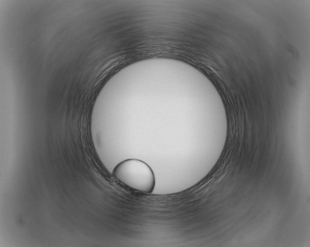 X0000113860092200909241034