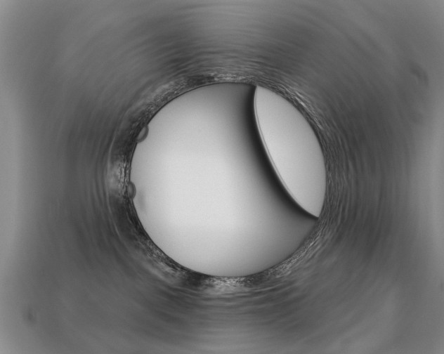 X0000113860093200909241034