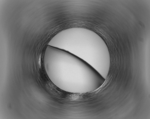 X0000113860094200909241034
