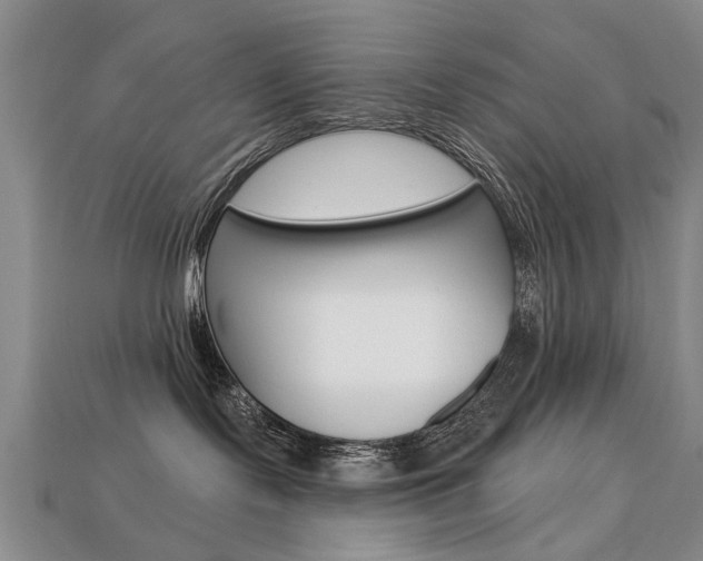 X0000113860095200909241034