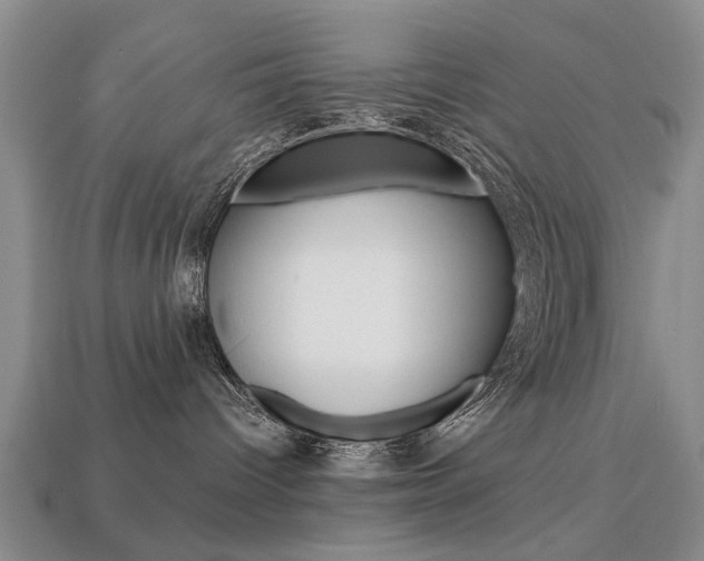 X0000113860096200909241034