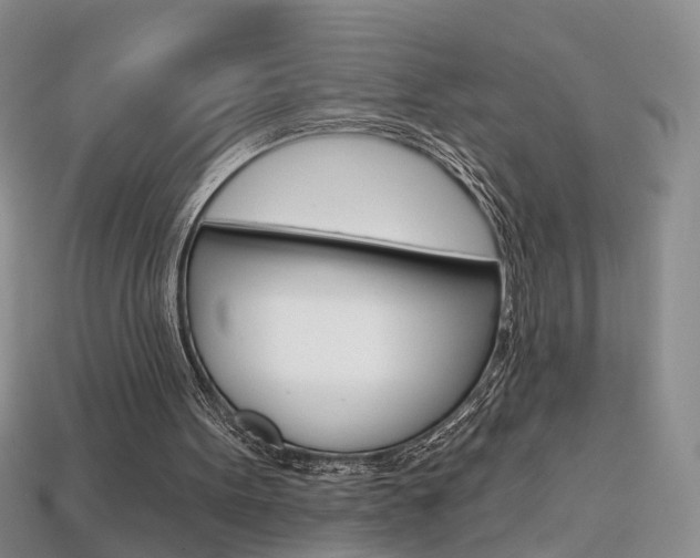 X0000113860099200909241034