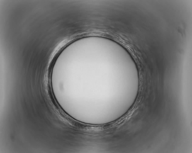 X0000113860102200909241034