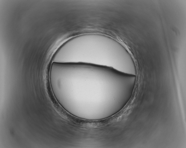 X0000113860103200909241034