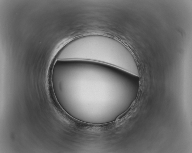 X0000113860104200909241034