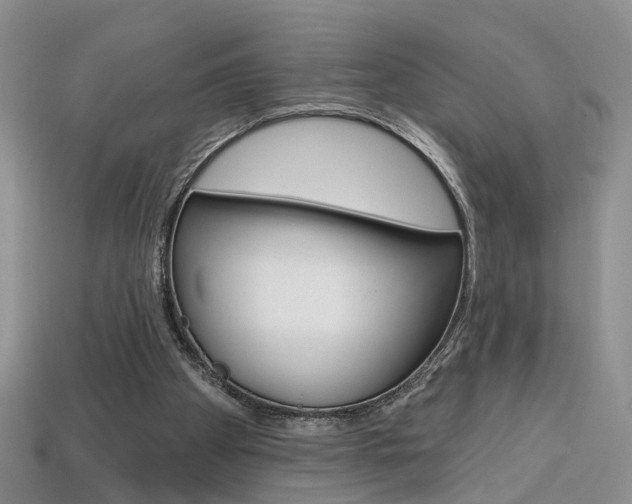 X0000113860105200909241034