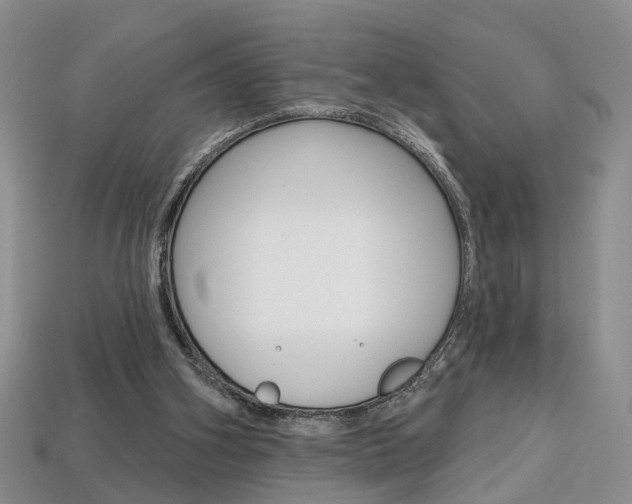 X0000113860106200909241034