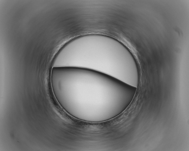 X0000113860107200909241034