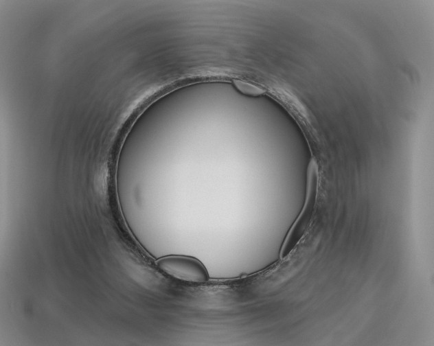 X0000113860108200909241034