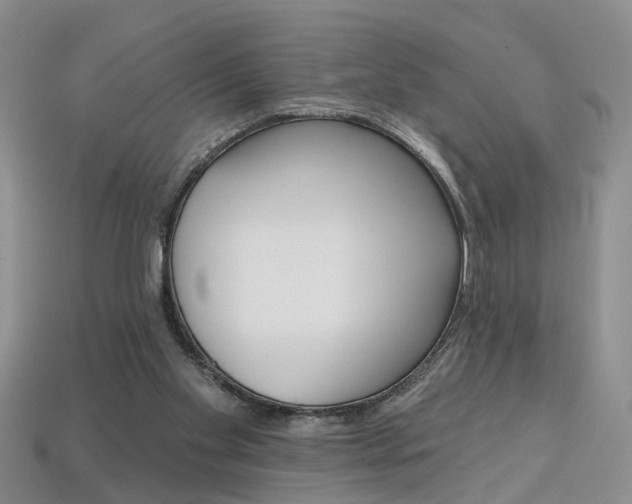 X0000113860109200909241034