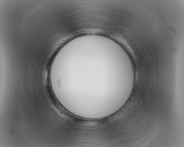 X0000113860110200909241033