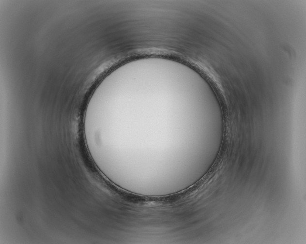 X0000113860111200909241033