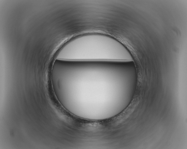 X0000113860112200909241033