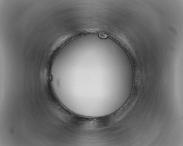 X0000113860116200909241033