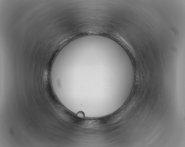 X0000113860117200909241033