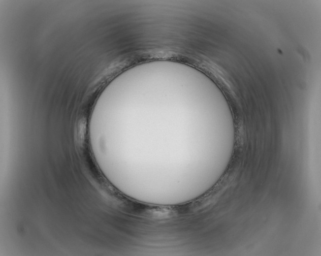 X0000113860118200909241033