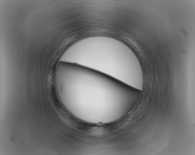 X0000113860119200909241033