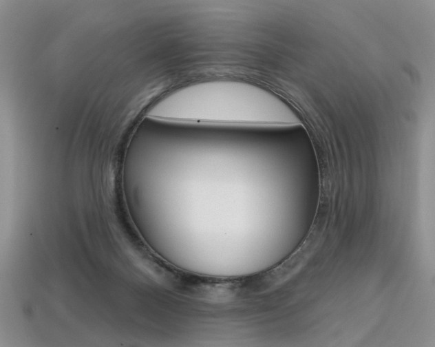 X0000113860120200909241033