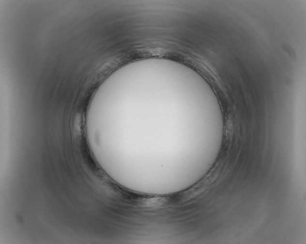 X0000113860122200909241033