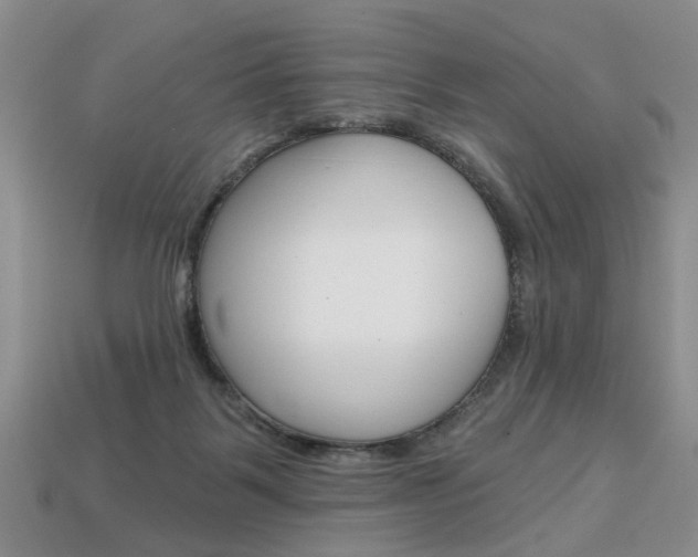 X0000113860123200909241033