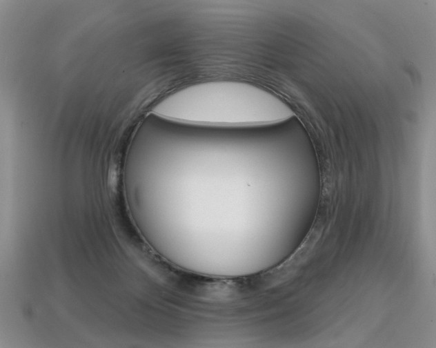 X0000113860124200909241033