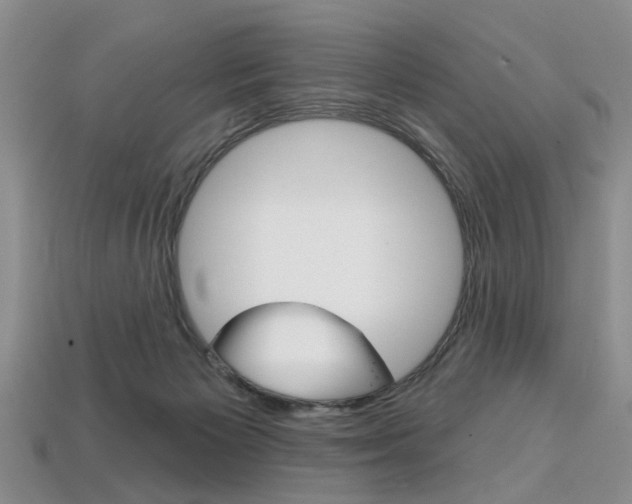 X0000113860125200909241033