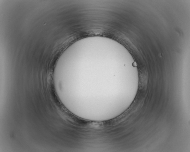 X0000113860126200909241033