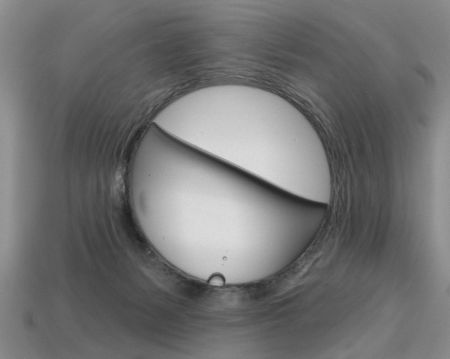 X0000113860127200909241033