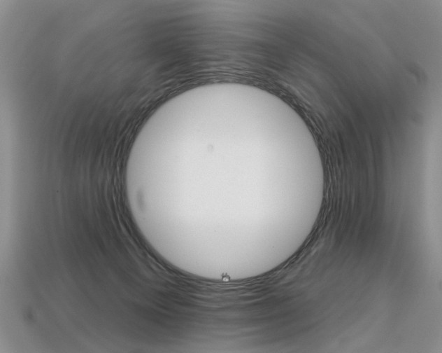 X0000113860129200909241033