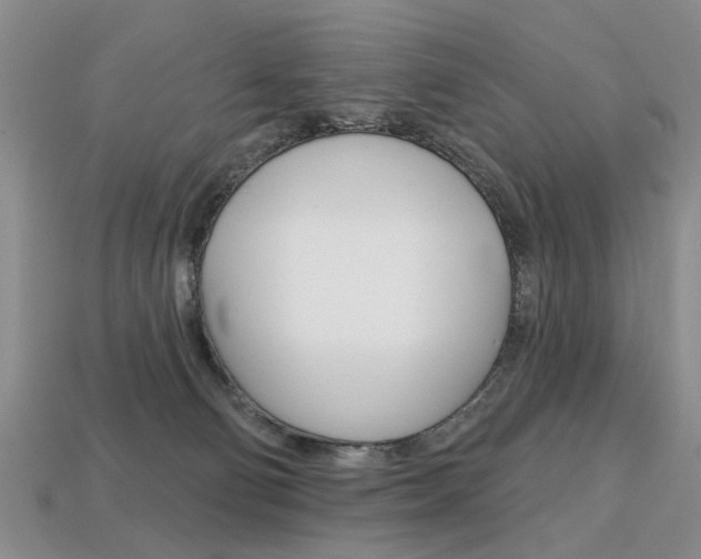 X0000113860130200909241033