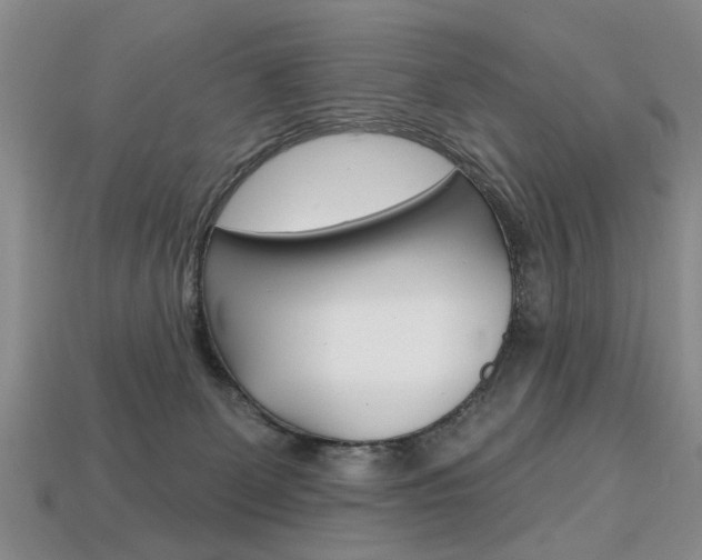 X0000113860131200909241033