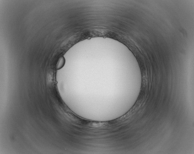 X0000113860134200909241033
