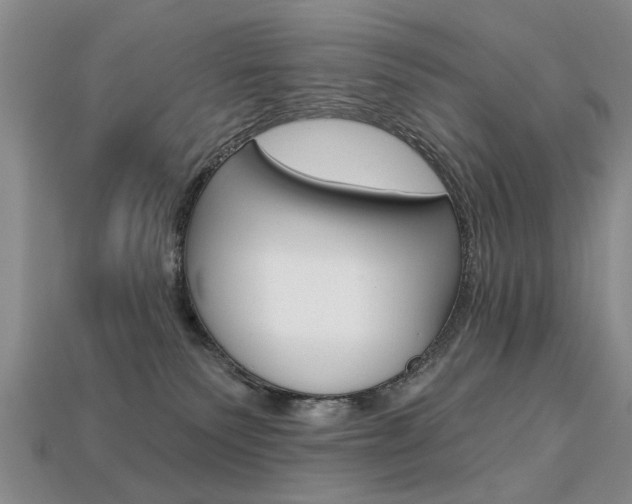 X0000113860135200909241033