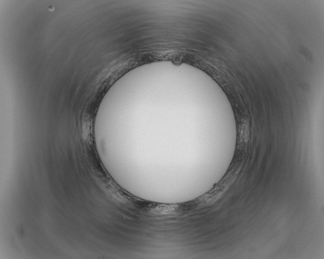 X0000113860138200909241033