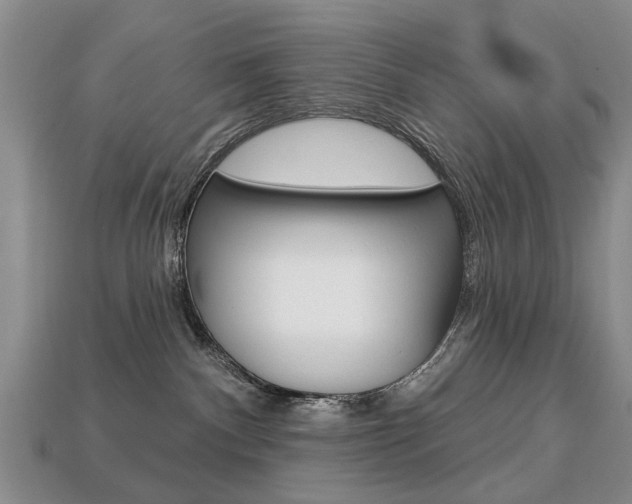 X0000113860140200909241033