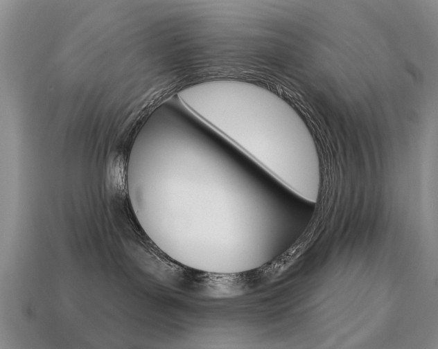 X0000113860143200909241033