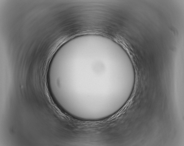 X0000113860145200909241032