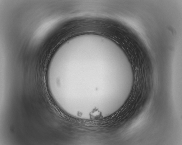 X0000113860146200909241032