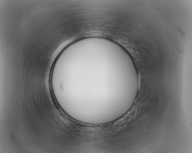 X0000113860147200909241032