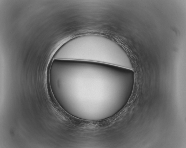 X0000113860148200909241032