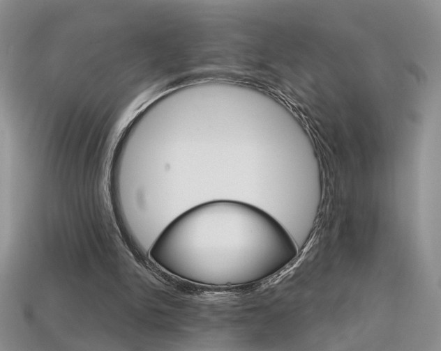 X0000113860150200909241032