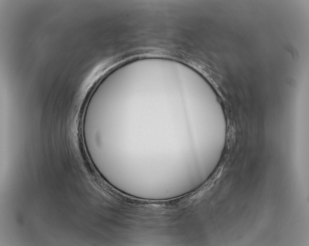 X0000113860151200909241032