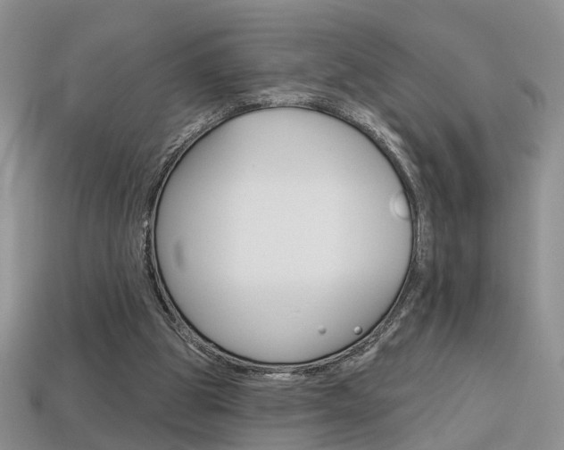 X0000113860153200909241032