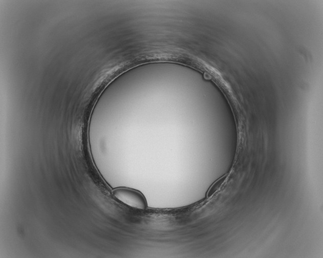X0000113860154200909241032
