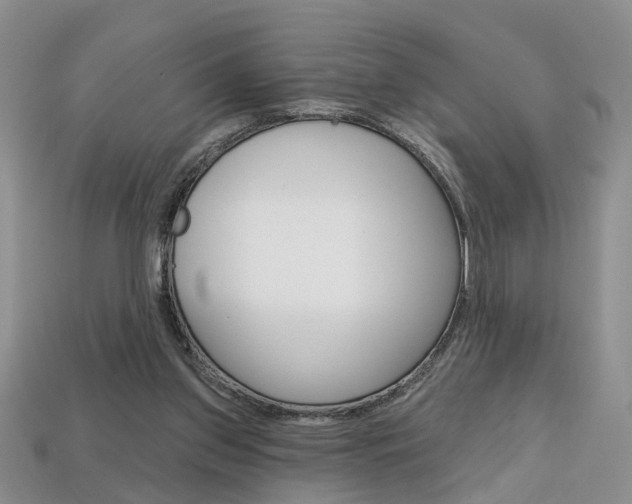 X0000113860157200909241032