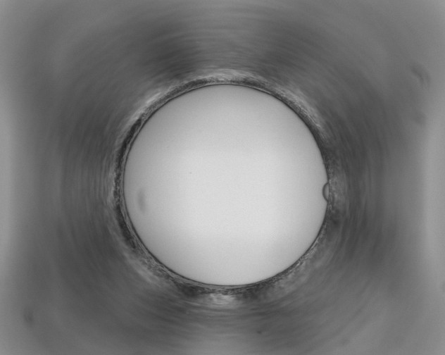 X0000113860159200909241032