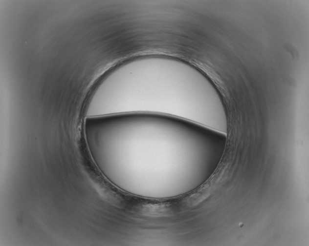 X0000113860160200909241032