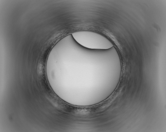 X0000113860161200909241032