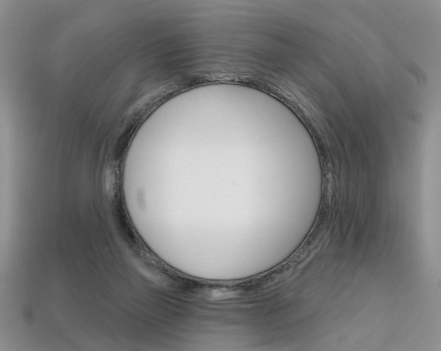 X0000113860165200909241033