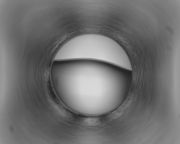 X0000113860168200909241033